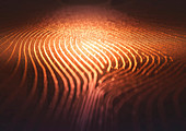 Fingerprint shape in binary code, illustration