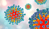 Measles virus, illustration