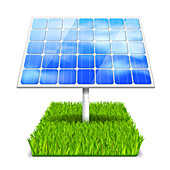 Solar panel, illustration