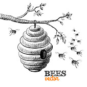 Bees hive on tree branch, illustration