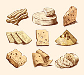 Cheeses, illustration