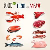 Fish and meat, illustration