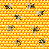 Bees and honeycomb, illustration
