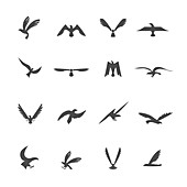Birds, illustration