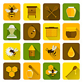 Honey icons, illustration