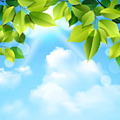 Green leaves and sky, illustration