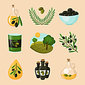 Olive oil icons, illustration