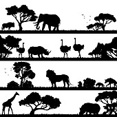 African landscapes, illustration