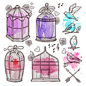 Birdcages, illustration