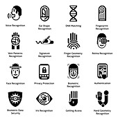 Biometrics icons, illustration