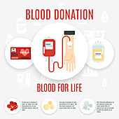 Blood donation, illustration