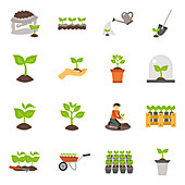 Gardening icons, illustration