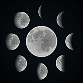 Lunar phases, illustration