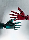 Robotic hands