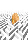 Bitcoin in maze