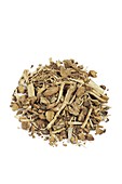 Sarsaparilla root