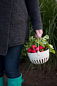 A woman wearing rubber boots standing in a grassy field holding a white speckled basket filled with radishes