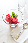 Raspberry sorbet with mint leaves