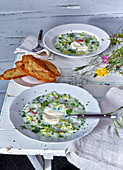 Sour cream soup with vegetables and spiced bacon butter