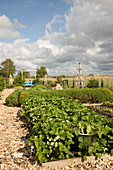 Gemüse- und Ziergarten mit gemulchten Wegen (Schleswig-Holstein, Norddeutschland)