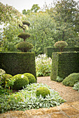 Formschnittgarten (Les Jardin de Castillon, Frankreich)