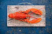 Cooked lobster on chopping board