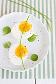Boiled eggs with pepper and chives