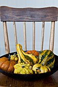 A black bowl filled with pumpkins and gourds on an antique wooden chair