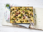 Gratinated pancetta pasta with broccoli on a baking tray