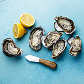 Open Oysters, lemon and knife on blue background