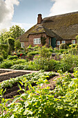 Thatched house with garden (East Frisia, northern Germany)