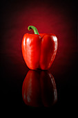 A red pepper against a red and black background