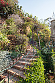 Bewachsene Natursteintreppe in einem Garten mit Hanglage