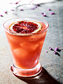 Single Blood Orange cocktail on a rustic surface