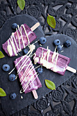 Blueberry yogurt ice cream sticks