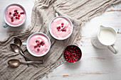 Finnisches Sahne-Cranberry-Porridge