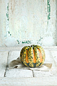 A mini pumpkin against a white wooden background