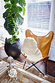 Classic leather chair with fur cover next to houseplant
