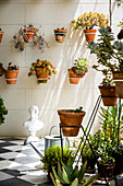 Various succulents in terracotta pots in wall-mounted brackets