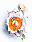 Pepper soup with cream cheese dumplings
