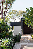 Entrance area surrounded by tropical trees and plants
