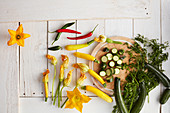 Fresh zucchini, zucchini flowers and chili peppers