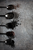 Mehrere Löffel mit schwarzen Zutaten (Mohn, Sesam, Salz, Kohle)