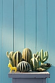 Collection of ceramic cacti in front of blue board wall