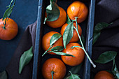 Fresh mandarins with leaves