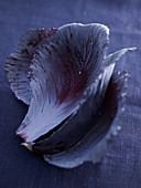 Red cabbage leaves on a dark background