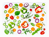 Composition of Fresh organic vegetables (pepper, onion, cucumber, carrot, tomatoe), herbs, olive oil and vinegar