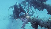 Underwater cameraman at work