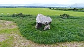 Llech-Y-Tripedd dolmen, drone footage