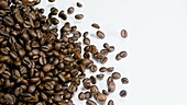 Coffee beans moving, slow motion